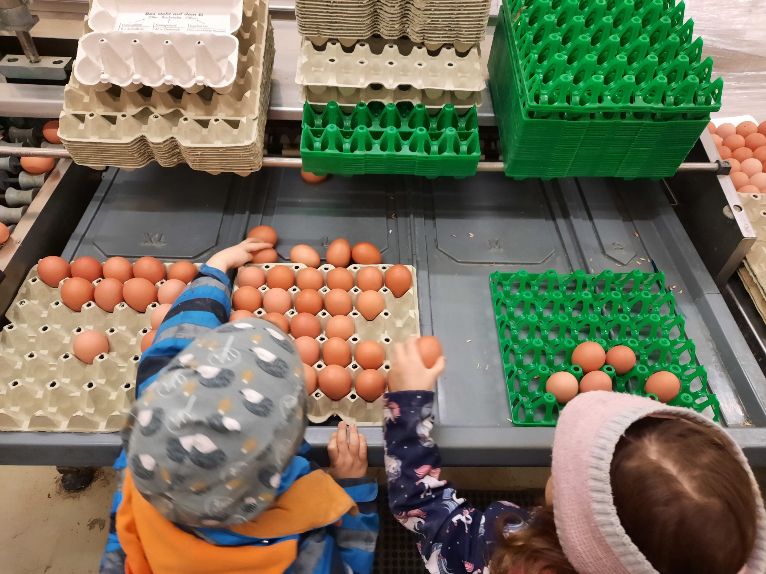 Hühner zu Besuch im Kindergarten