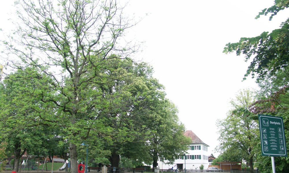 Dorfplatz Spielplatz Altach